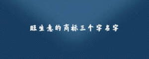 旺生意的商標三個字名字